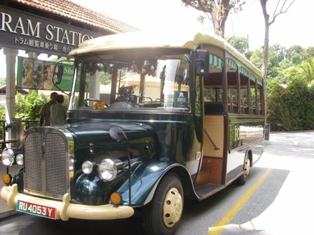 SDC11749.JPG